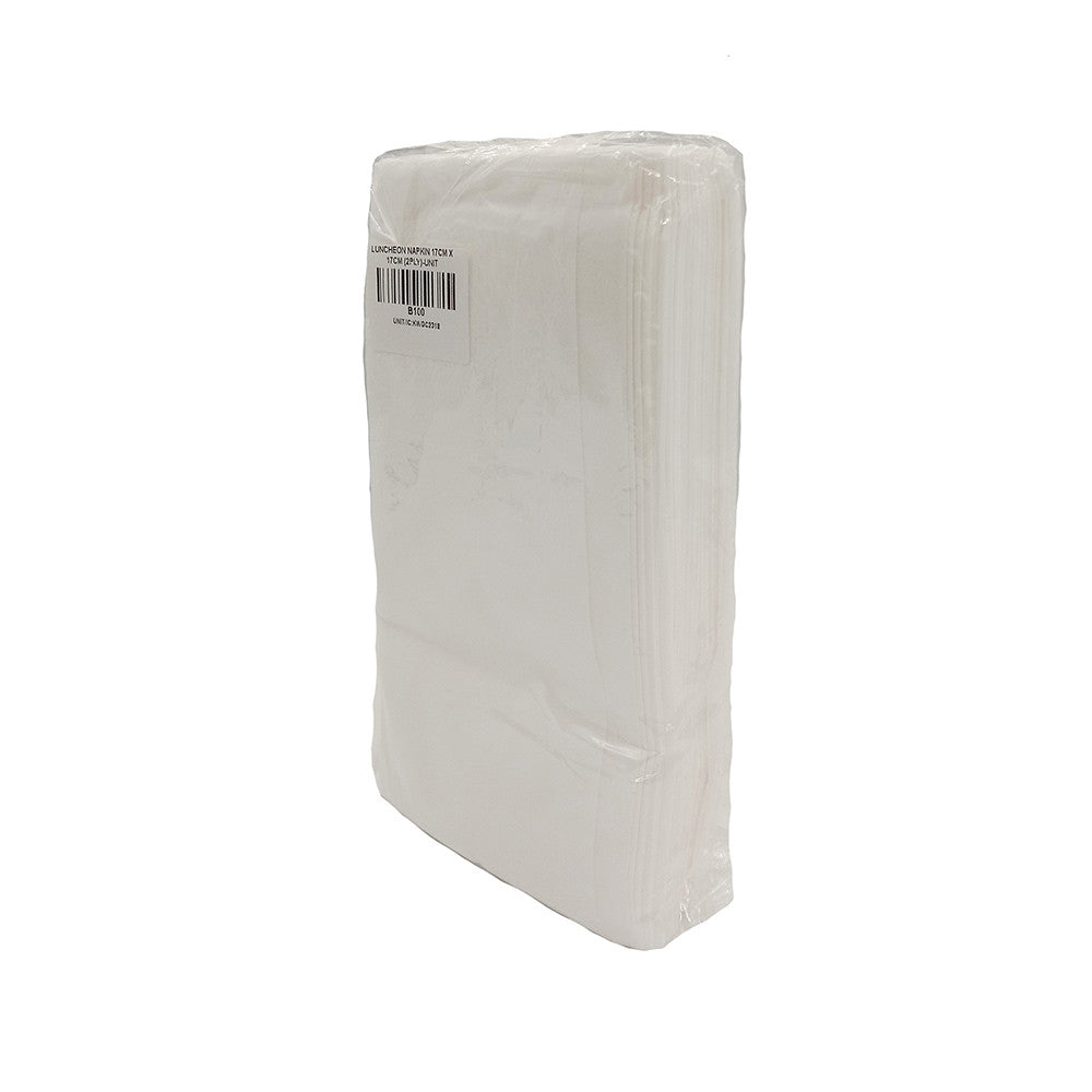 LUNCHEON NAPKIN 17CM X 17CM (2PLY) 100'S Per Pack