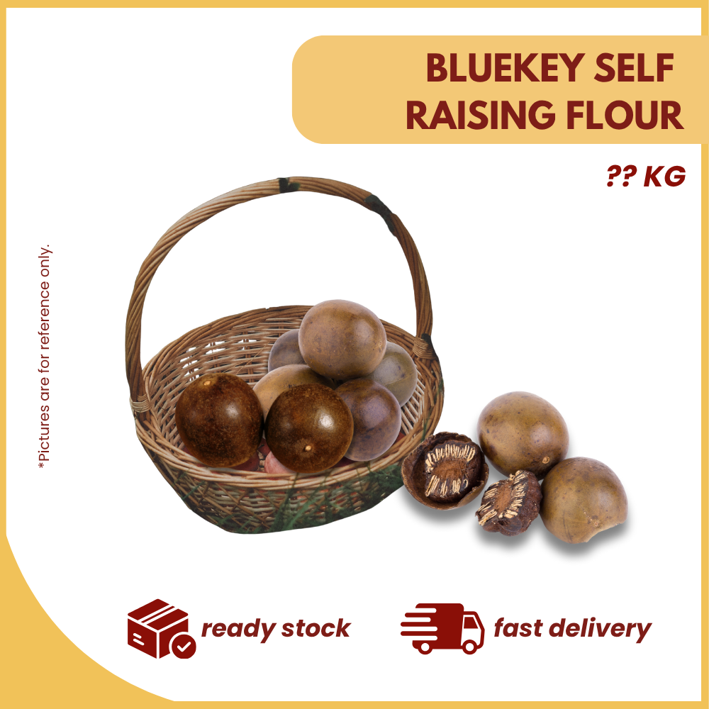 BUAH LO HAN GUO (BESAR) -UNIT