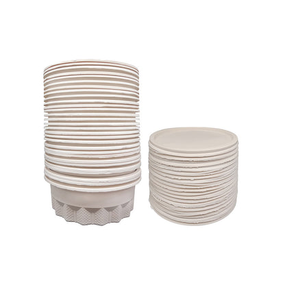 BIODEGRADABLE DISPOSABLE BOWL LUNCH BOX 800CC 30pcs Per Pack