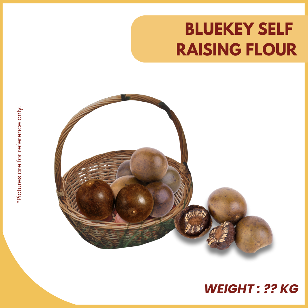 BUAH LO HAN GUO (BESAR) -UNIT